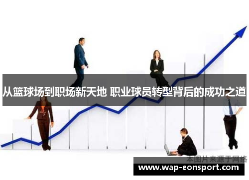 从篮球场到职场新天地 职业球员转型背后的成功之道
