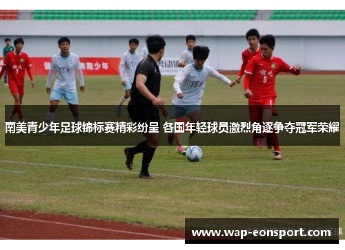 南美青少年足球锦标赛精彩纷呈 各国年轻球员激烈角逐争夺冠军荣耀